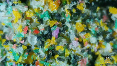 Plastic powder under a microscope