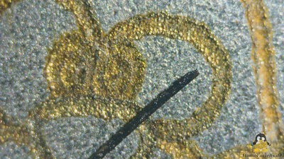HomoFaciens Coin under a microscope